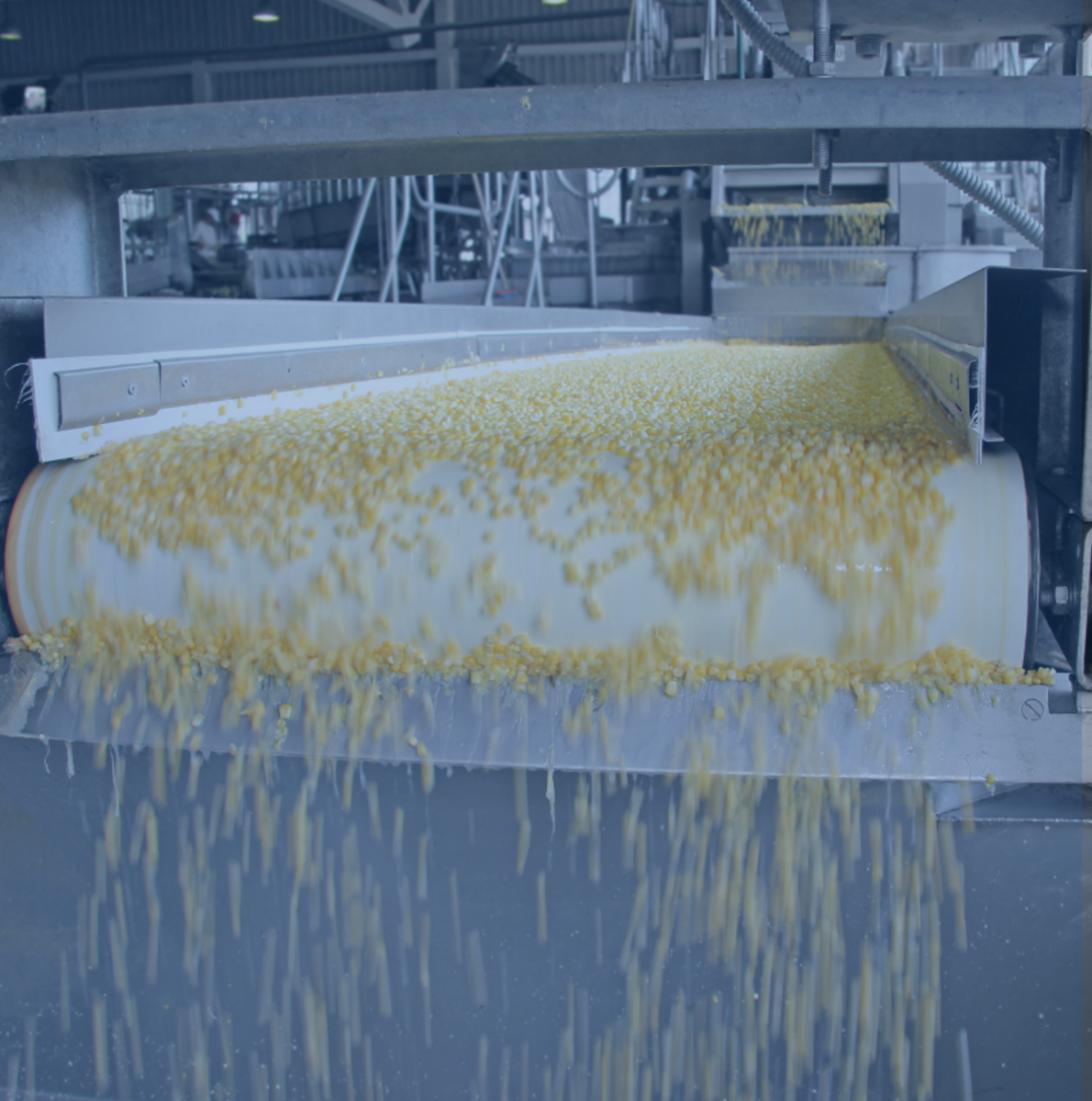 Ideal Processes for Drawer Magnets