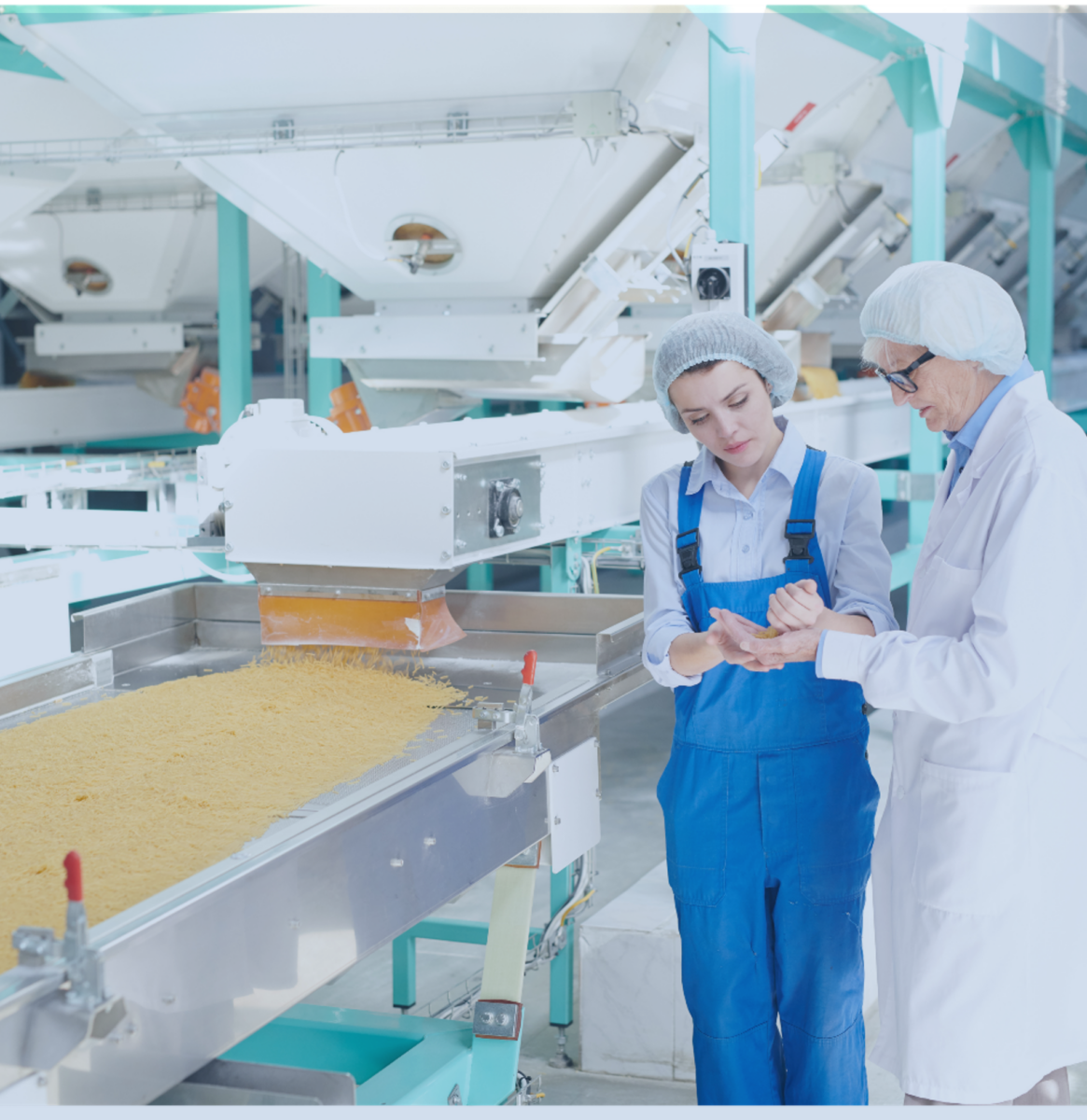 MPI Free Flow and Feeder Magnets are FDA, USDA, CE Compliance, and HACCP Certified.