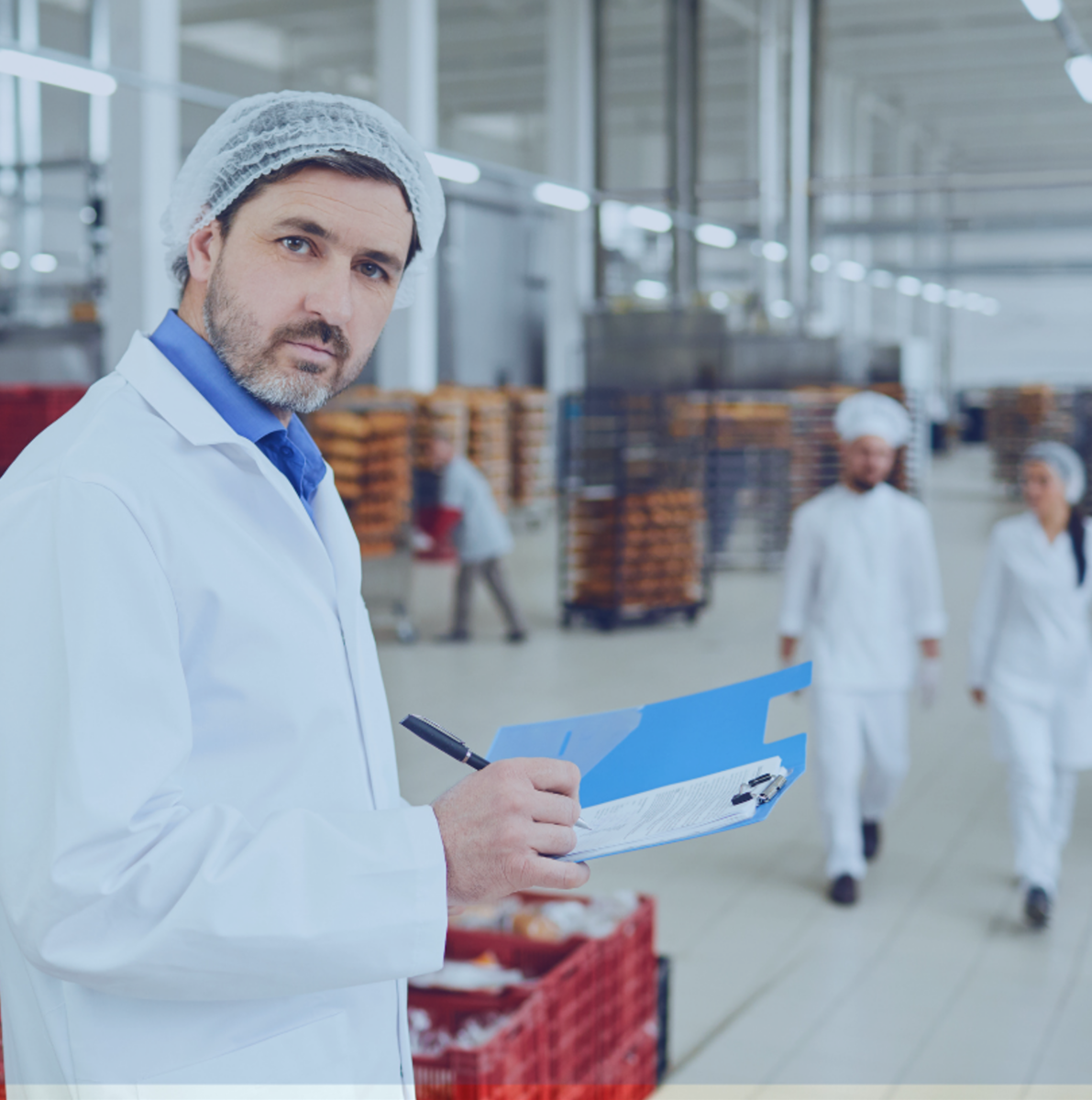 MPI Free Flow and Feeder Magnets are FDA, USDA, CE Compliance, and HACCP Certified.