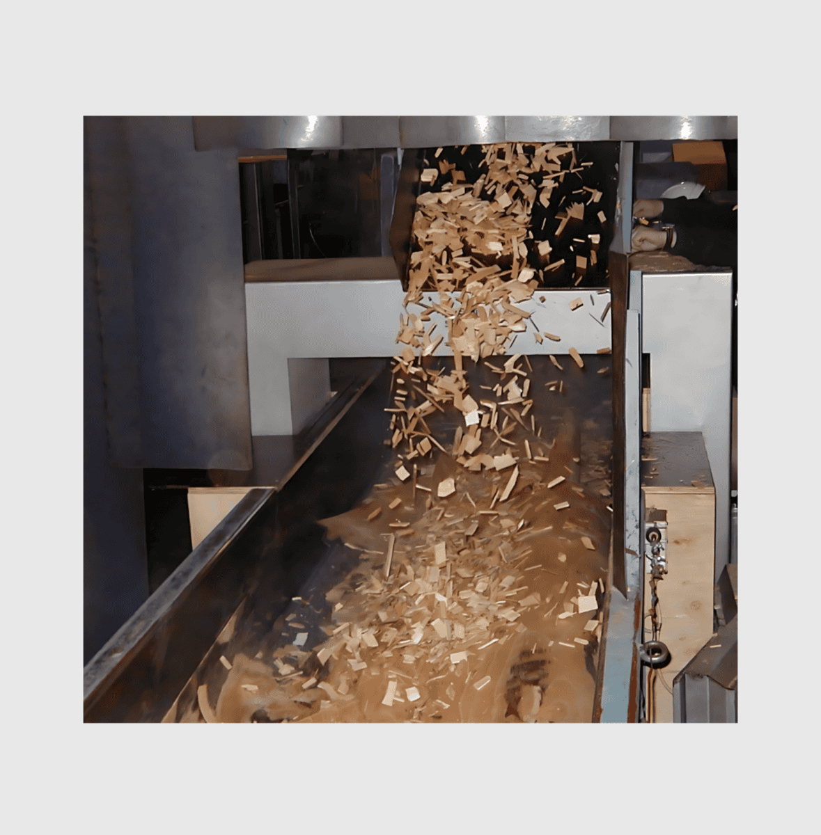 MPI's Cassel BIG Detector Made for Wood Chip and Pulp Application MPI's Cassel BIG Detector Made for Wood Chip and Pulp Application