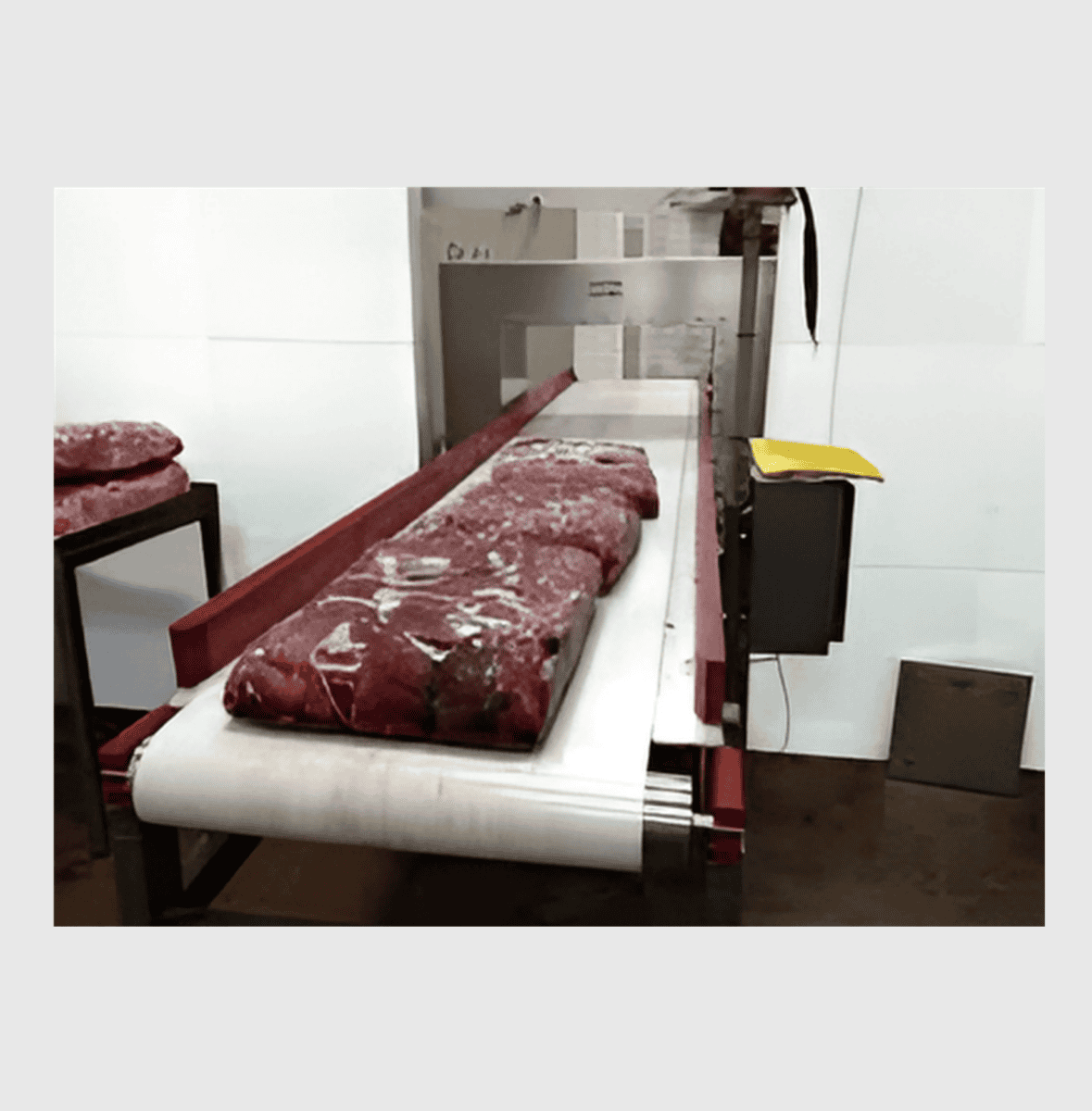 Metal Detector for Beef, Poultry, and Seafood Processing Metal Detector for Beef, Poultry, and Seafood Processing