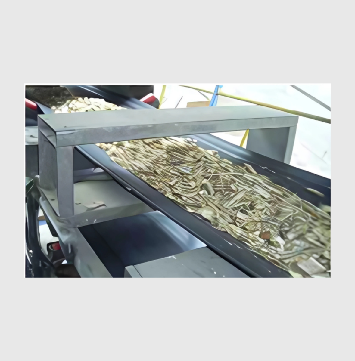 Tunnel (TU) Detector for Wood Processing in Landscaping Application
