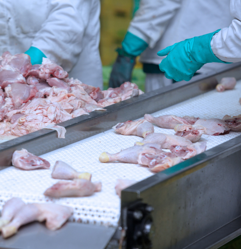chicken processing Application Specific Metal Detectors for Meat Processing