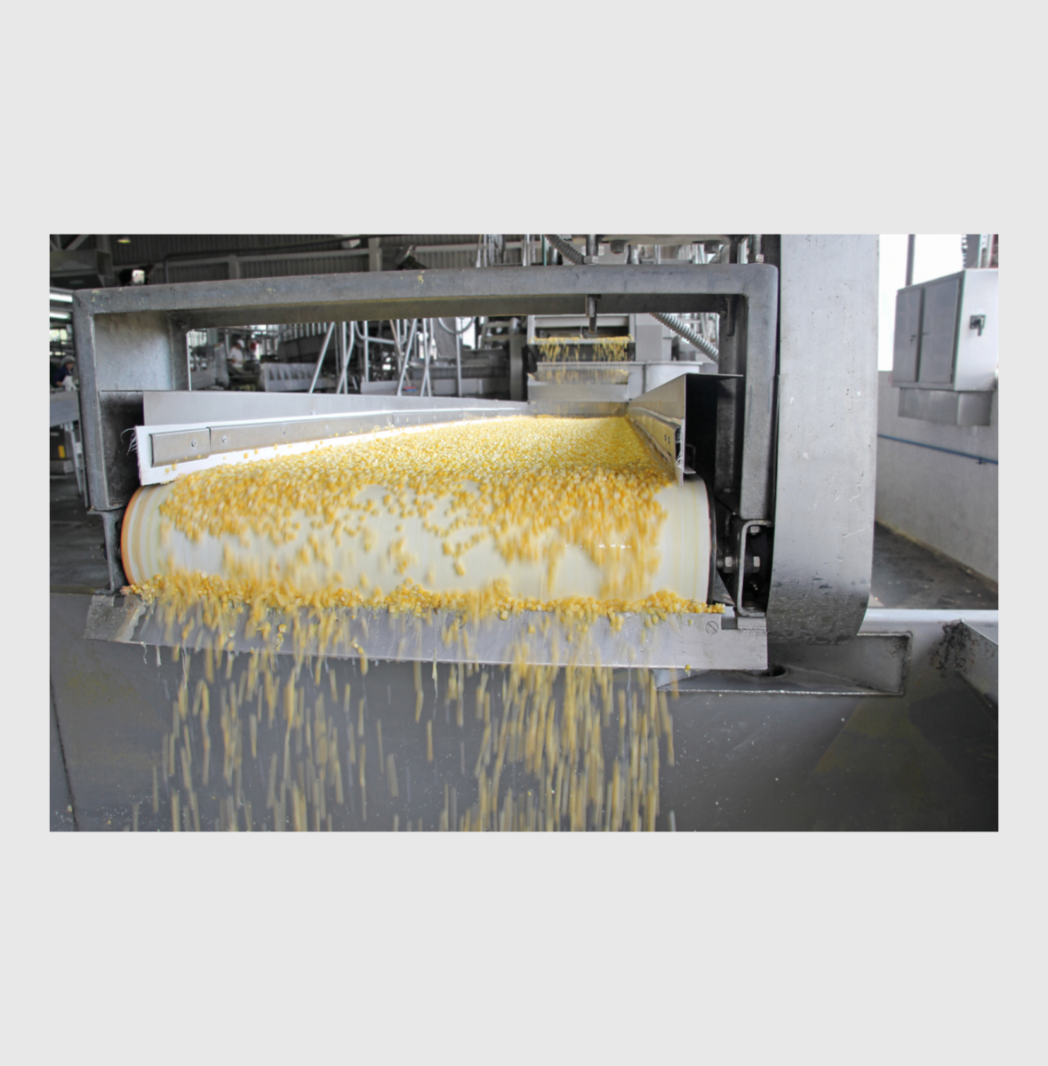 Ideal for Food Processing Applications Prone to Bridging