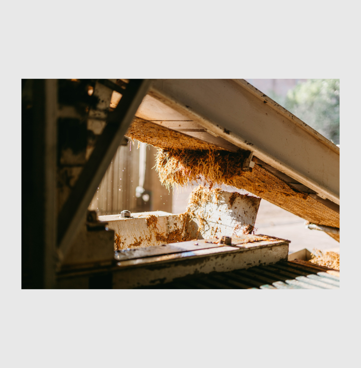 Ideal for Semi-Dried Meat Meal Processing in the Pet Food Industry