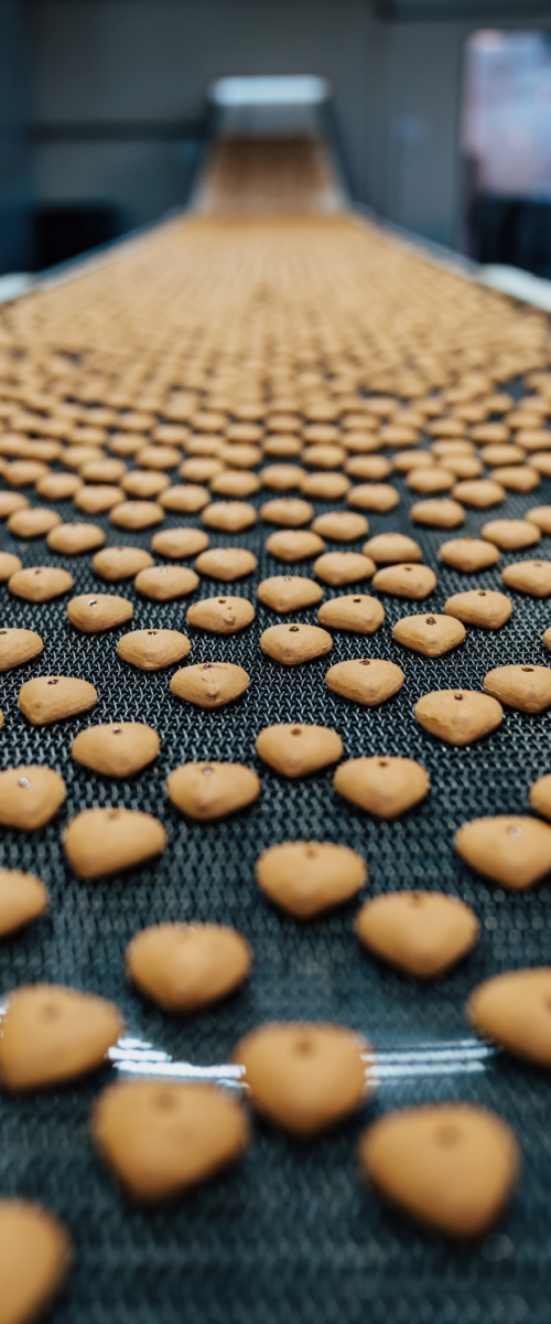 Conveyor Belt in Cookie Factory Showing Finished Product