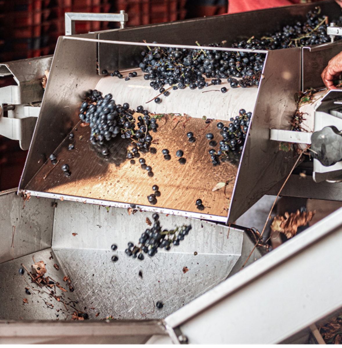 MPI Bulk Gravity Products for Sanitary Applications