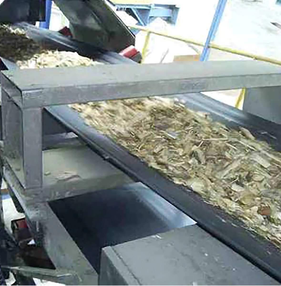 Electronic Inspection and Metal Detection