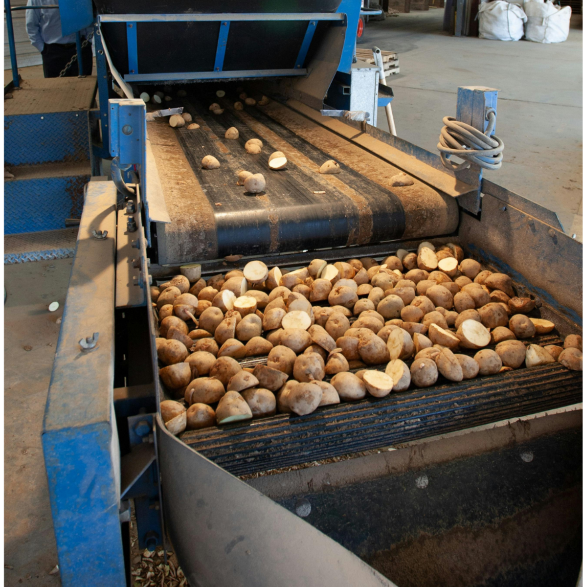Conveying Equipment for High-Speed Production