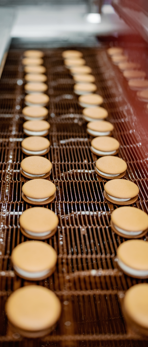 Finishing magnet application cookie processing facility